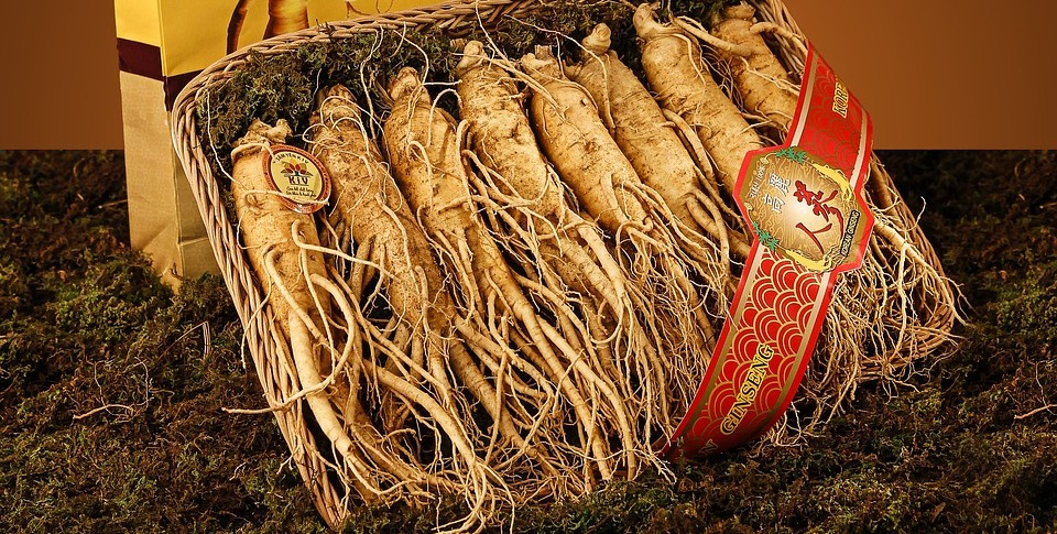 ginseng beneficii